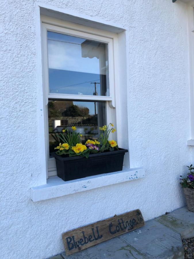 Bluebell Cottage Kilmore Quay Zewnętrze zdjęcie